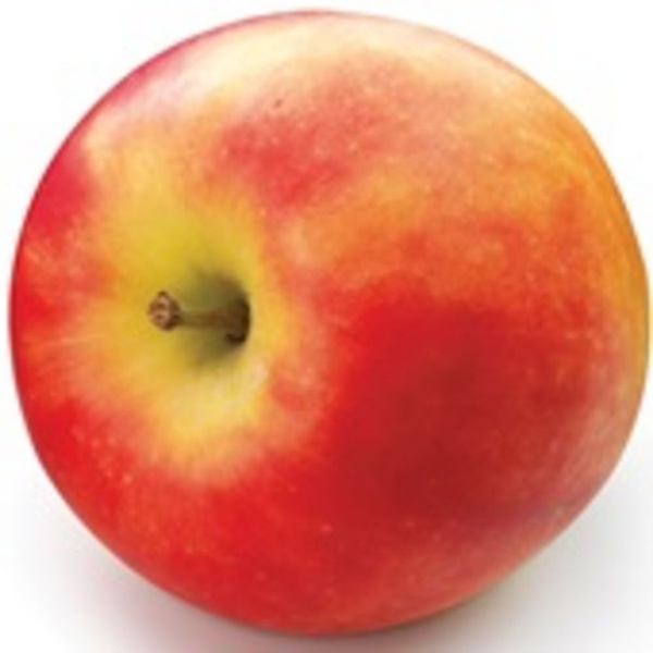 Appel elstar 6.5kg 1 KG