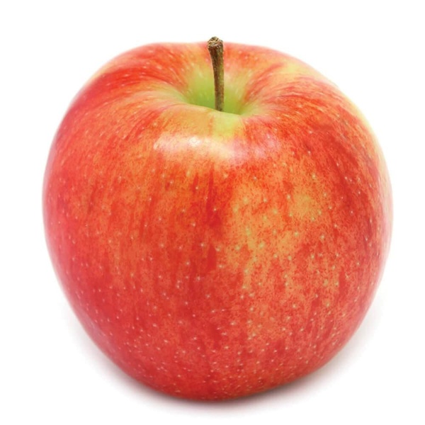 AGF appel jonagold 1.5 KG